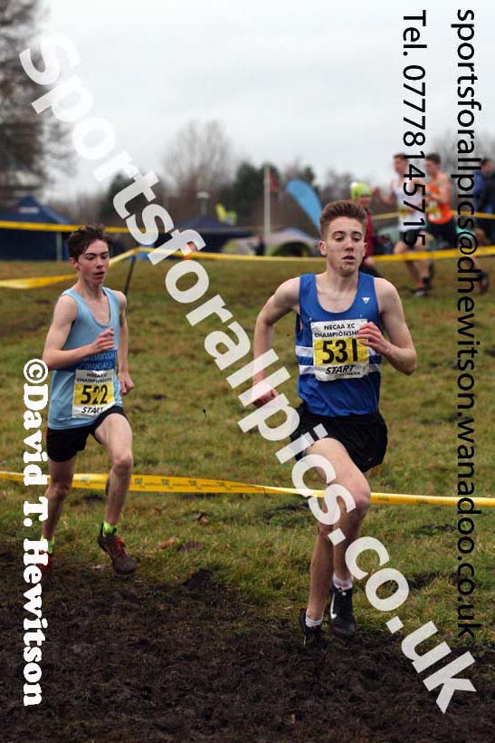Mens under-17s North Eastern Cross Country, Aykley Heads, Durham. Photo: David T. Hewitson/Sports for All Pics